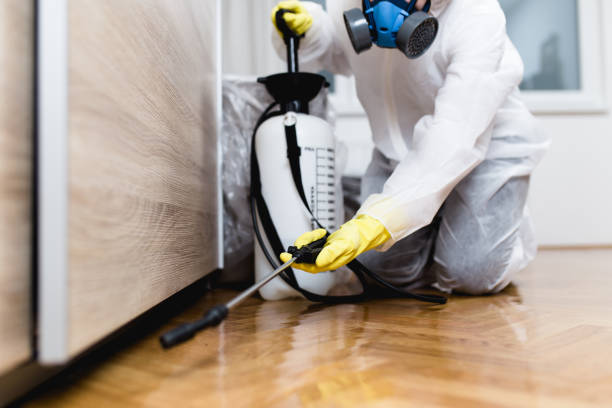Best Pest Control Treatment  in Kewanee, IL