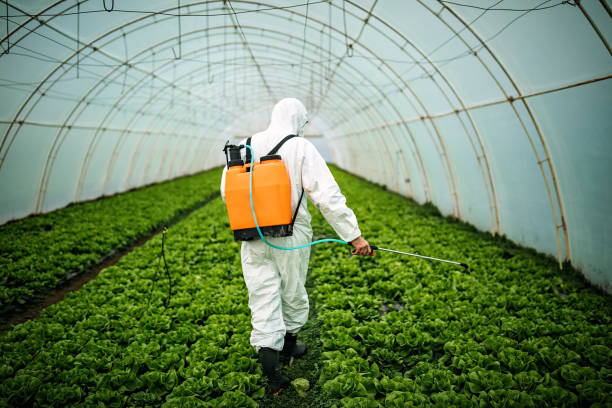 Best Pest Control Near Me in Kewanee, IL