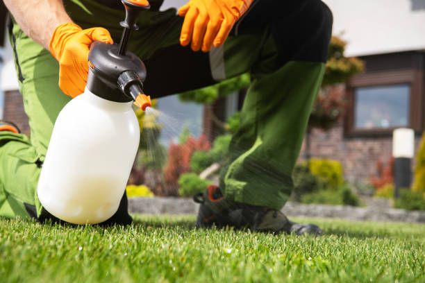 Best Best Pest Control Companies  in Kewanee, IL