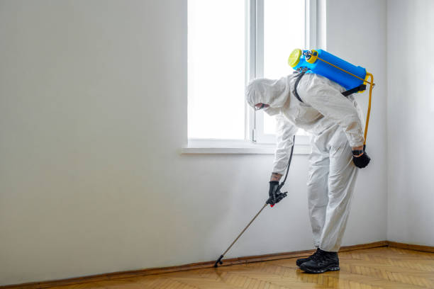 Best Pest Prevention Services  in Kewanee, IL