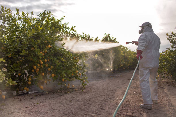 Best Residential Pest Control  in Kewanee, IL