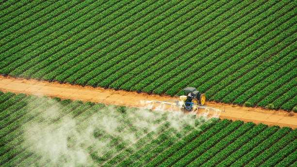 Best Pest Removal Services  in Kewanee, IL