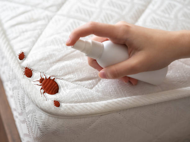 Professional Pest Control in Kewanee, IL