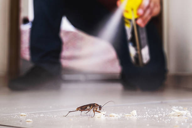 Pest Prevention Services in Kewanee, IL