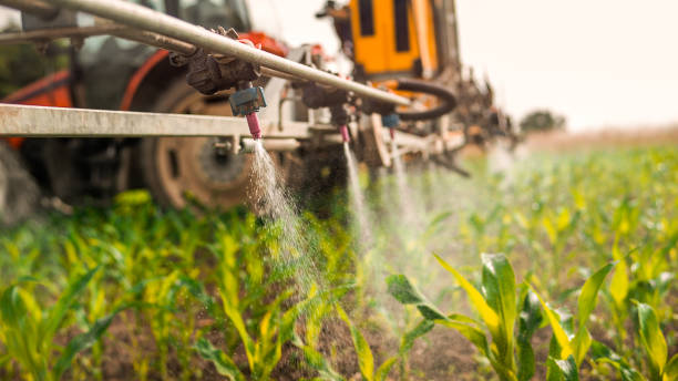 Best Pest Inspection Near Me  in Kewanee, IL